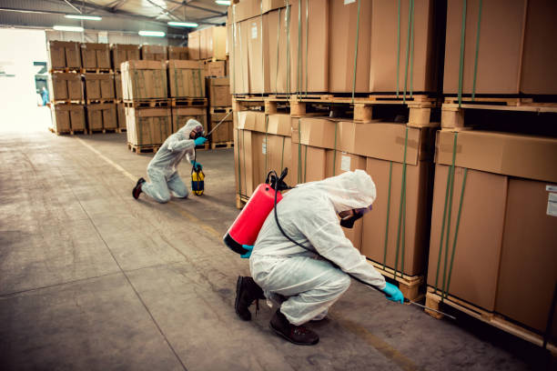 Best Best Pest Control Companies  in Apopka, FL