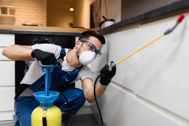 Best Pest Control for Homes  in Apopka, FL
