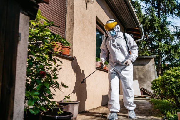 Trusted Apopka, FL Pest Control Experts
