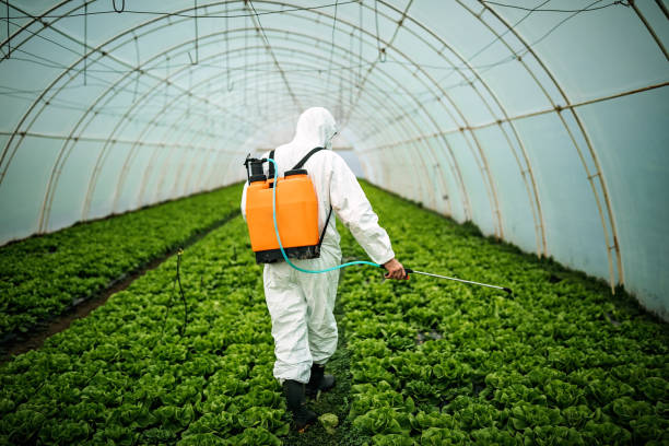 Best Mosquito Control Services  in Apopka, FL