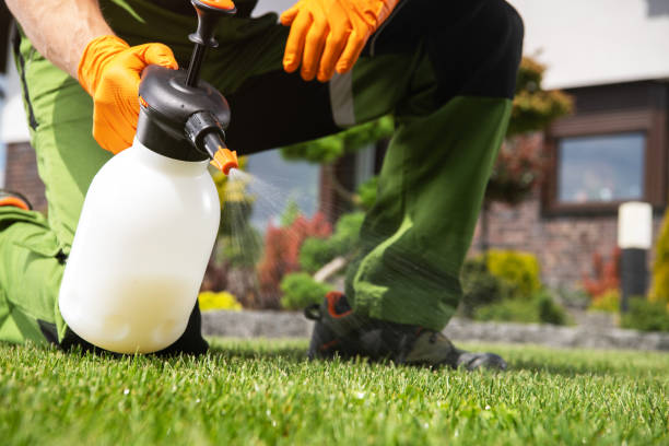Best Commercial Pest Control Services  in Apopka, FL