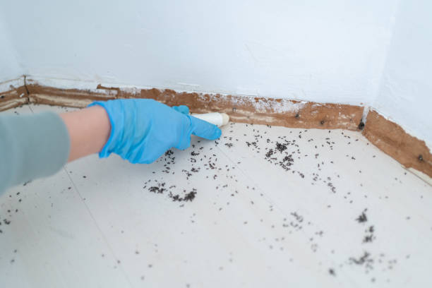 Best Commercial Pest Control Services  in Apopka, FL