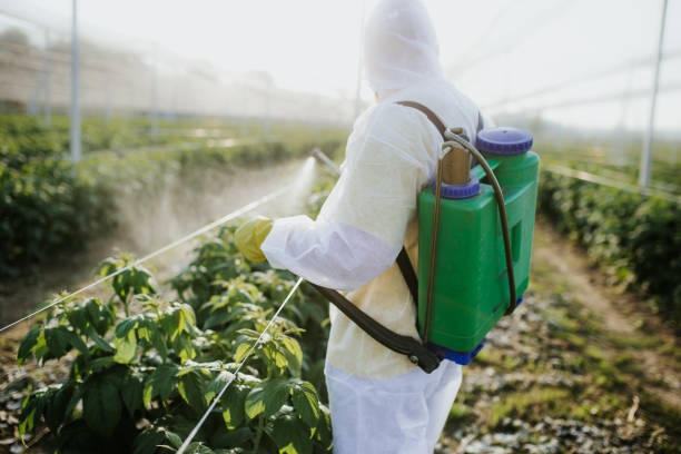 Best Pest Control Near Me  in Apopka, FL